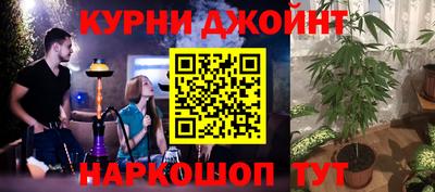 индика Ливны